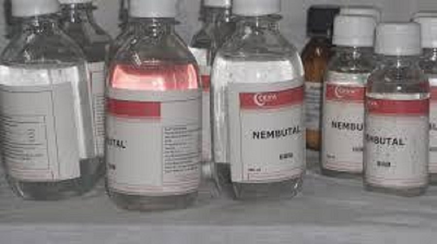 Nembutal, promethazin hydrochloridový sirup, fentanyl, percocet, klonopin